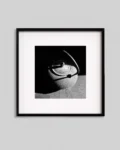 abstract-photography-still life-4
