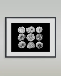art-print-abstract-33
