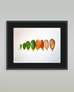 art-print-abstract-36