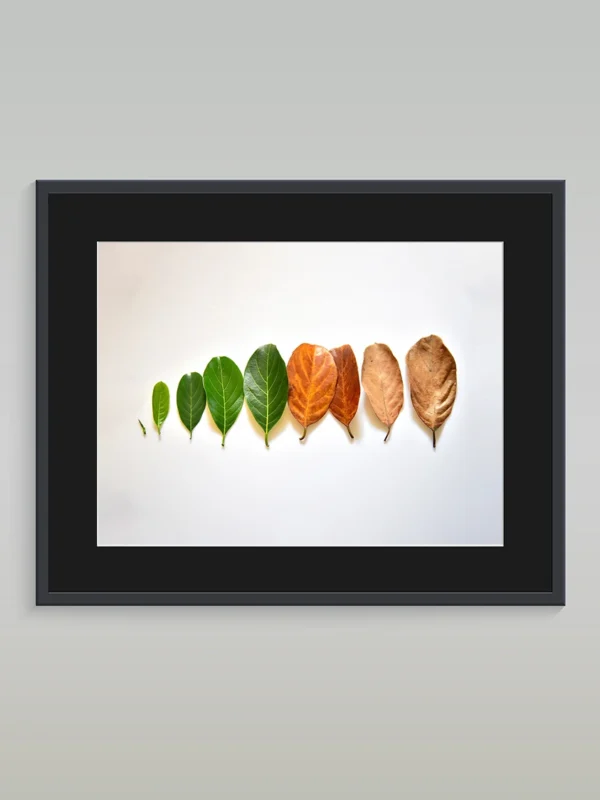 art-print-abstract-36